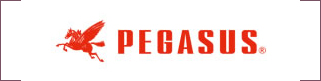 PEGASUS（ペガサス）