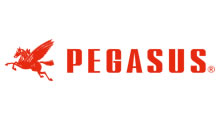 PEGASUS（ペガサス）